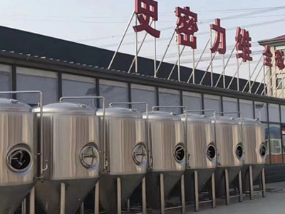 船山精酿啤酒设备厂—如何判断精酿啤酒设备的密封件需要更换？